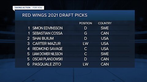 Red Wings add six players on second day of NHL Draft