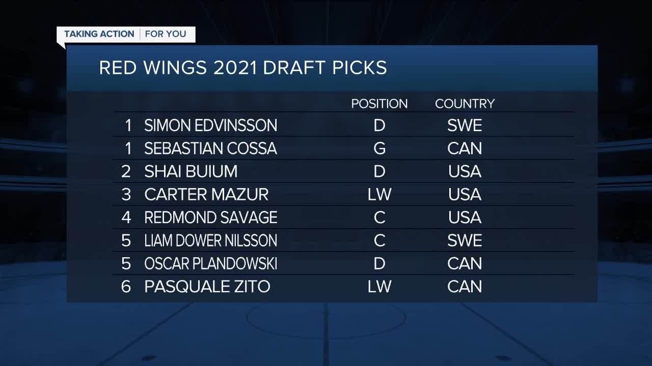 Red Wings add six players on second day of NHL Draft