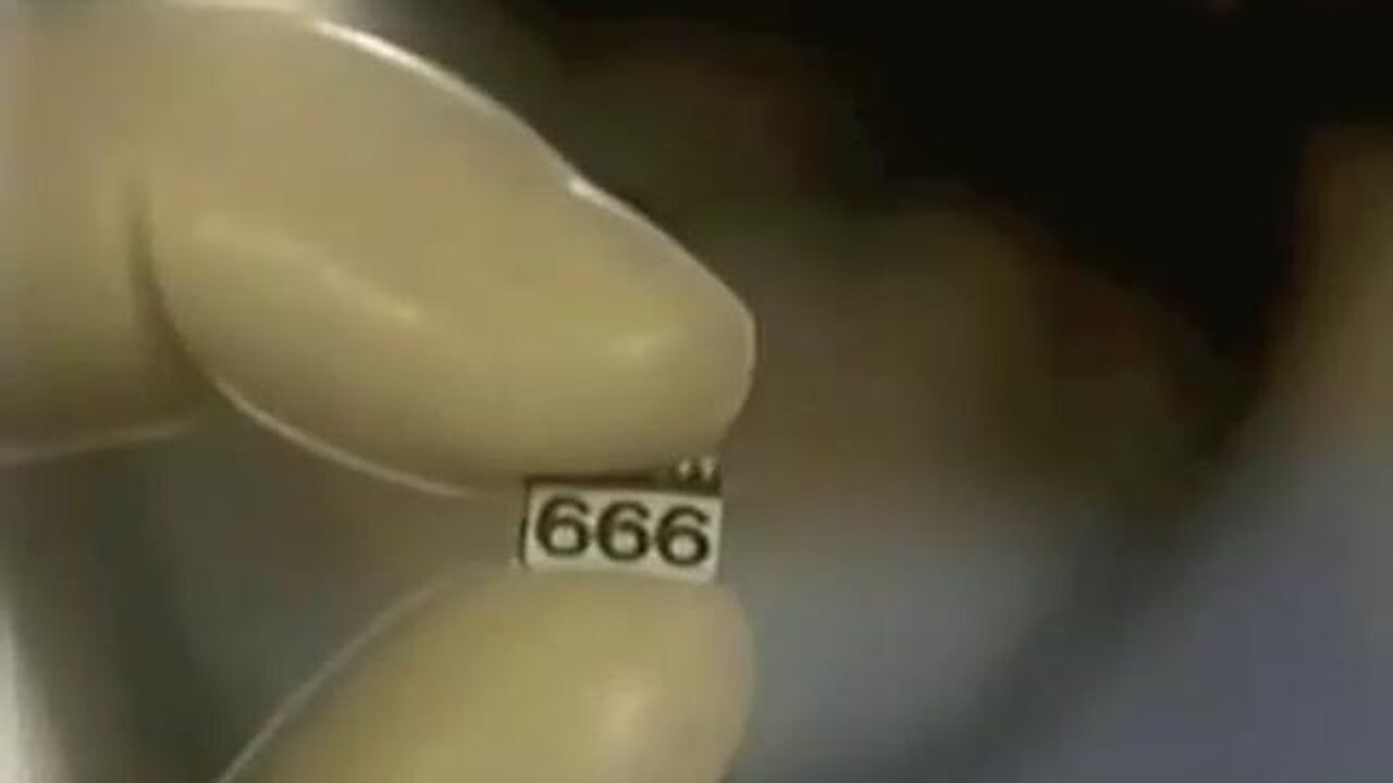 WATCH OUT FOR 666 - FROM 1990 - PREDICTIONS OF THE FUTURE