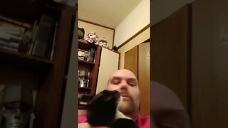 Moonpie gets snuggles #shorts #shortsvideo #shortsfeed #youtubeshorts #catvideos #cat