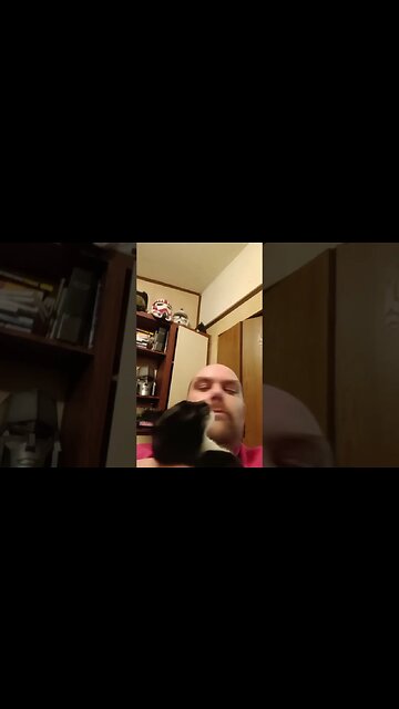 Moonpie gets snuggles #shorts #shortsvideo #shortsfeed #youtubeshorts #catvideos #cat