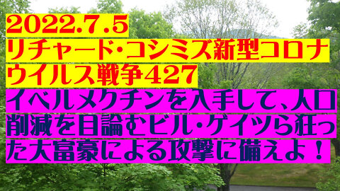 2022.07.05 リチャード・コシミズ新型コロナウイルス戦争４２７