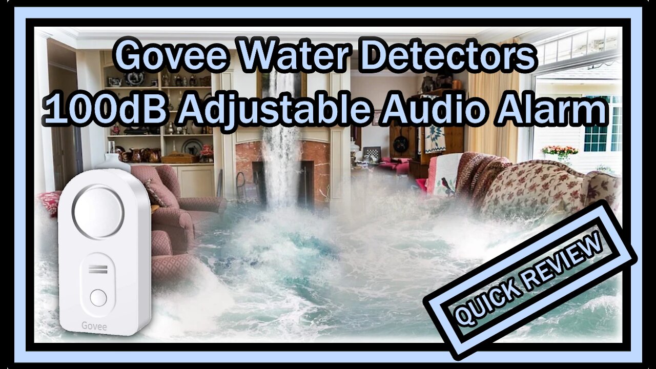 Govee Water Sensor Smart Leak Detector 100dB Adjustable Audio Alarm Free App QUICK REVIEW