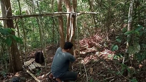 solo survival __ membangun shelter, masak, makan,eksplor, dan tidur nyenyak di hutan _14