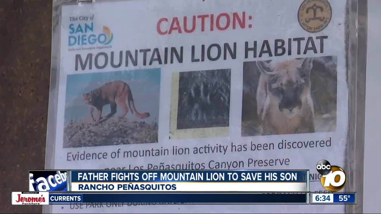 Trail remains closed after possible mountain lion attacks boy