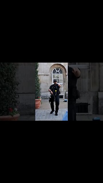 Get back behind the line #horseguardsparade