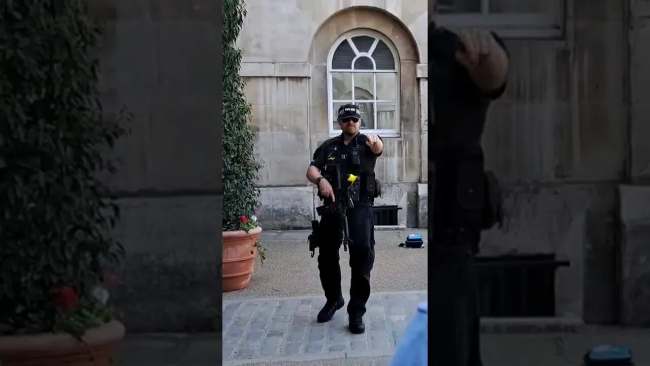 Get back behind the line #horseguardsparade