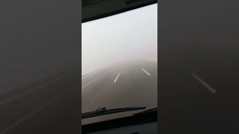 FOG at fog #shorts #viral #please #youtubeshorts