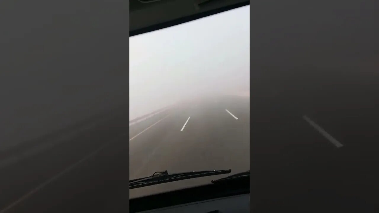 FOG at fog #shorts #viral #please #youtubeshorts