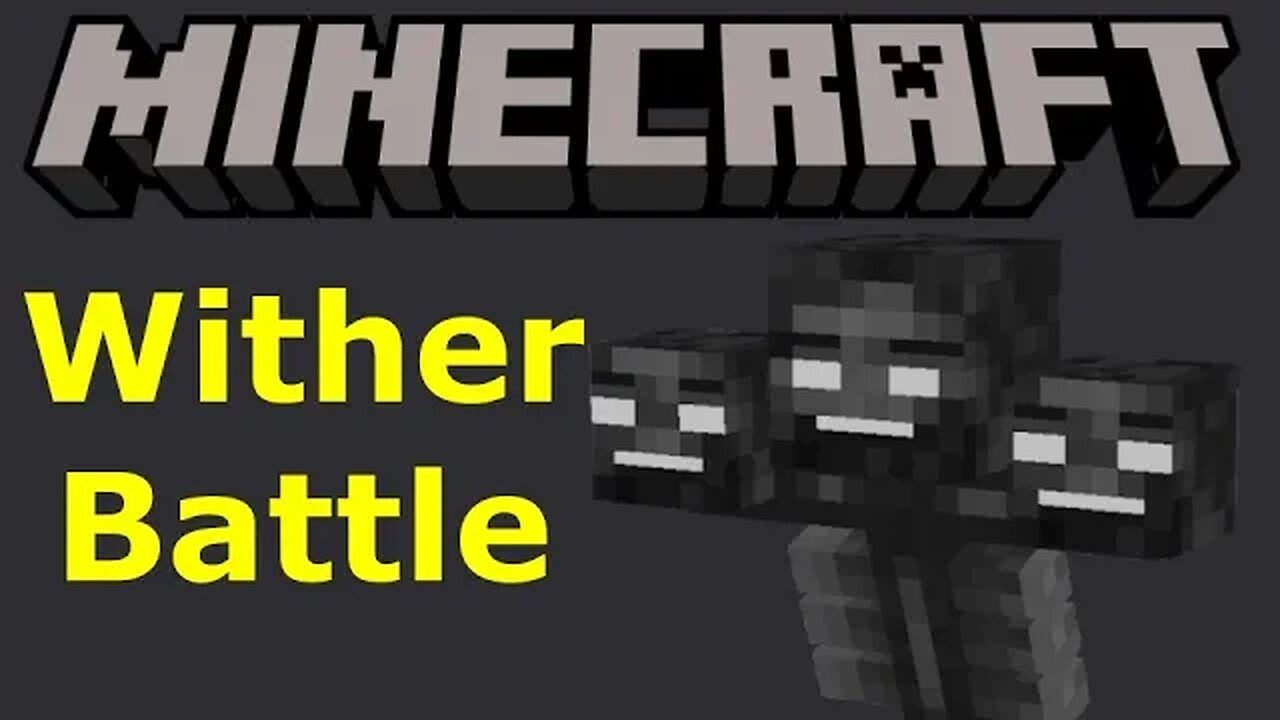 Minecraft 1.19.3 - Wither - Battle