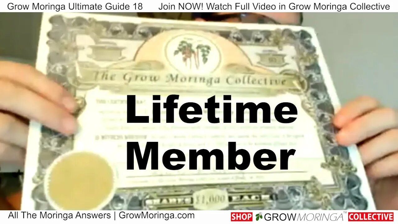 Grow Moringa Collective Lifetime Member has Voting Rights and An Owner Share of The Company