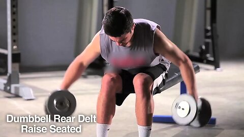 Seated Rear Delt Raise
