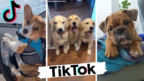 Girl tik tok