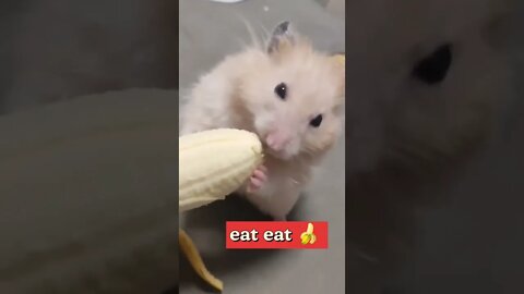 eat eat 🍌