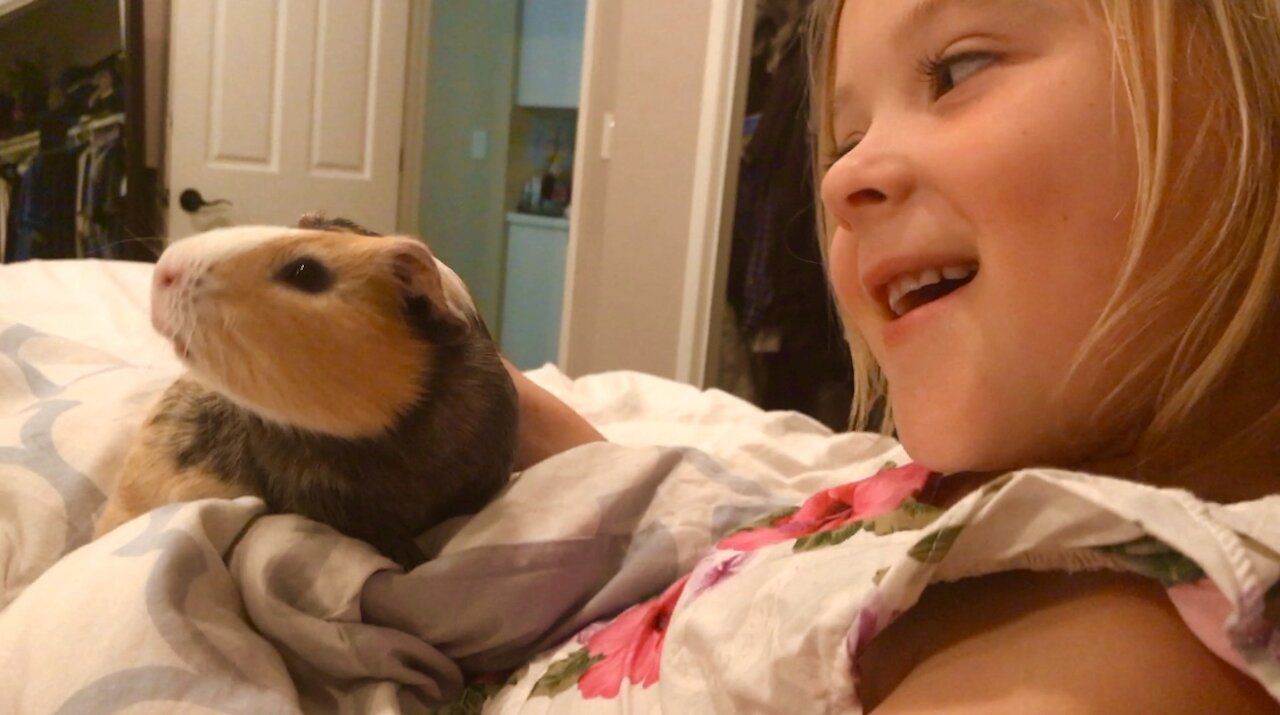 This little girl and her guinea pig will make your day