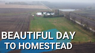 Middle Of Fall On The Farm | What Our Homestead Looks Like Right Now