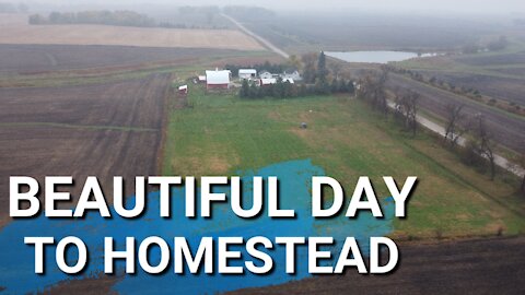 Middle Of Fall On The Farm | What Our Homestead Looks Like Right Now