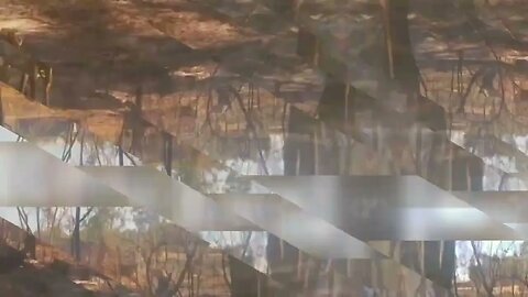 Incendio en Tacuarembó, cerca del Barrio Godoy (ya está controlado) 05/01/2023