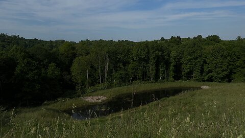 Beautiful Ohio wilderness and sounds