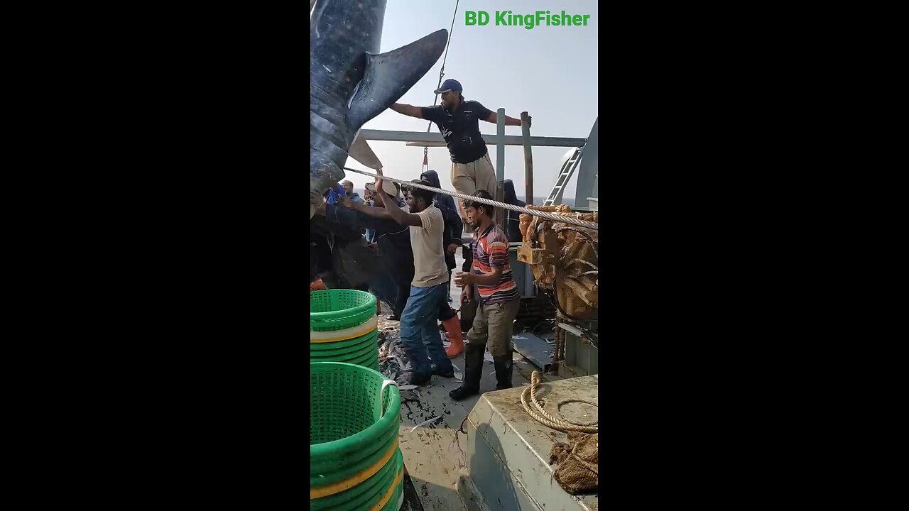 KING FISH