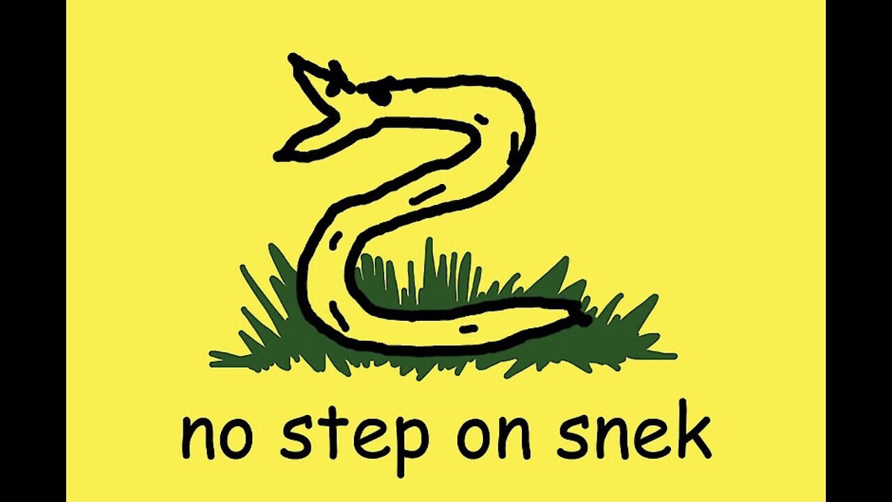no step on snek | Ep. 1