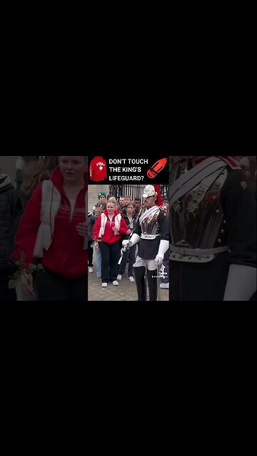 Don't Touch The King's Lifeguard???