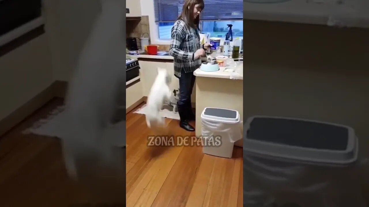 QUANDO AQUELA PESSOA TE PERTUBA ATÉ CONSEGUIR O QUE QUER