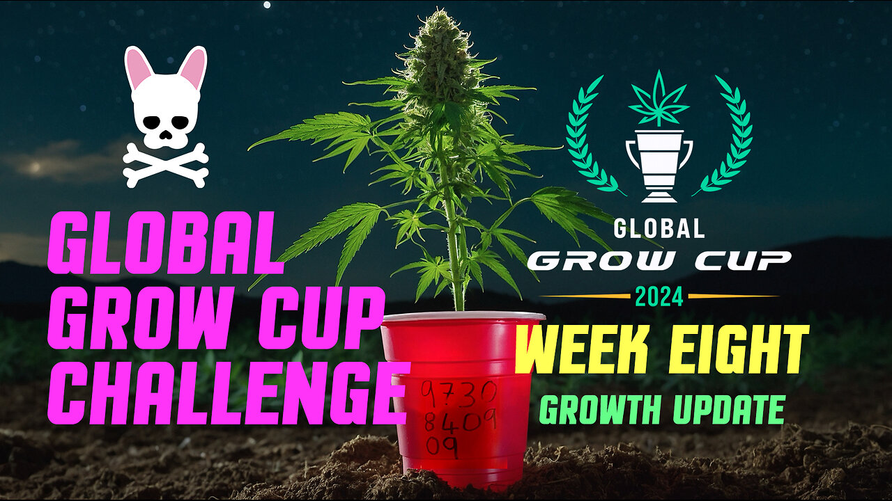 Global Grow Cup Challenge 2024 - Week Eight - Spider Farmer SF2000