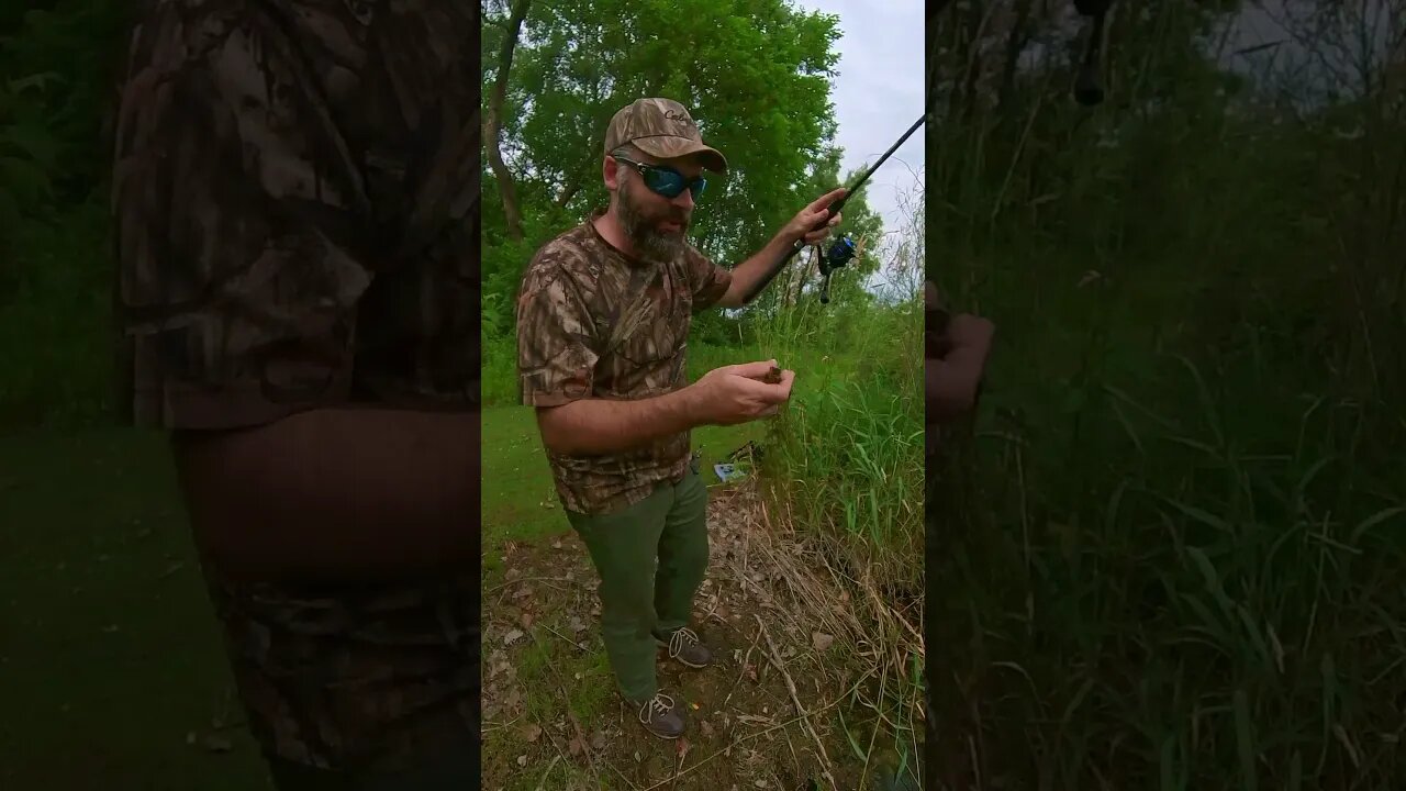 When The Fish Are Fired Up🔥 But You Can't Keep'em Pinned! 🤦‍♂️😅#shorts #fishingshorts