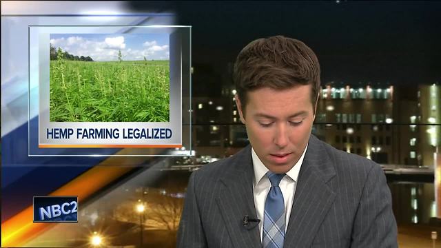 Walker signs bill legalizing hemp farming in Wisconsin