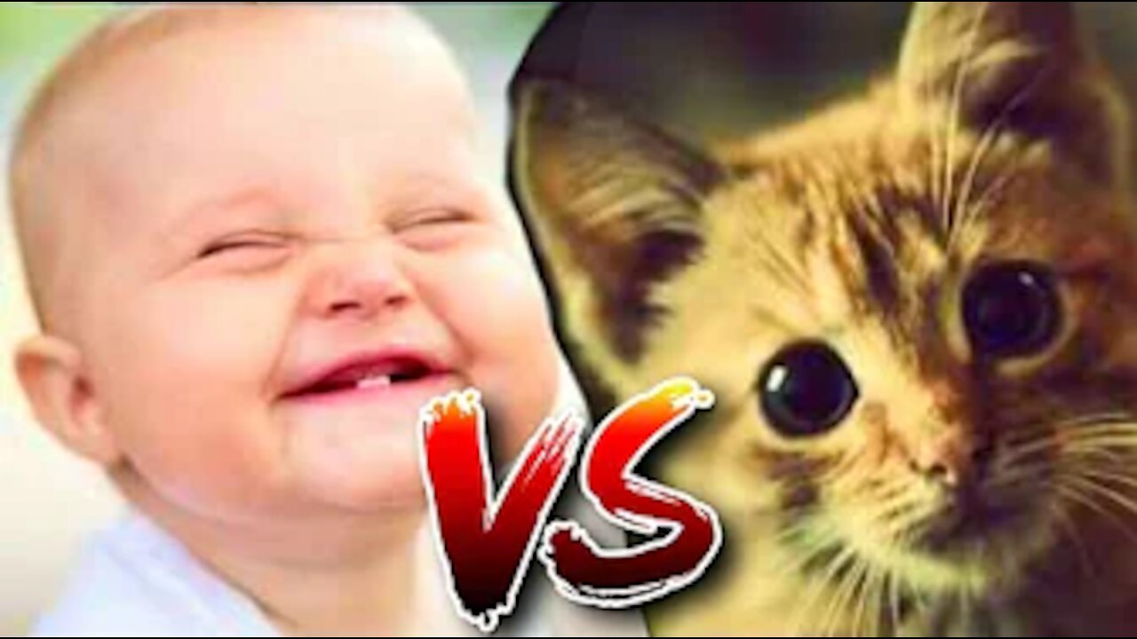 Pets Vs Babys [2021]