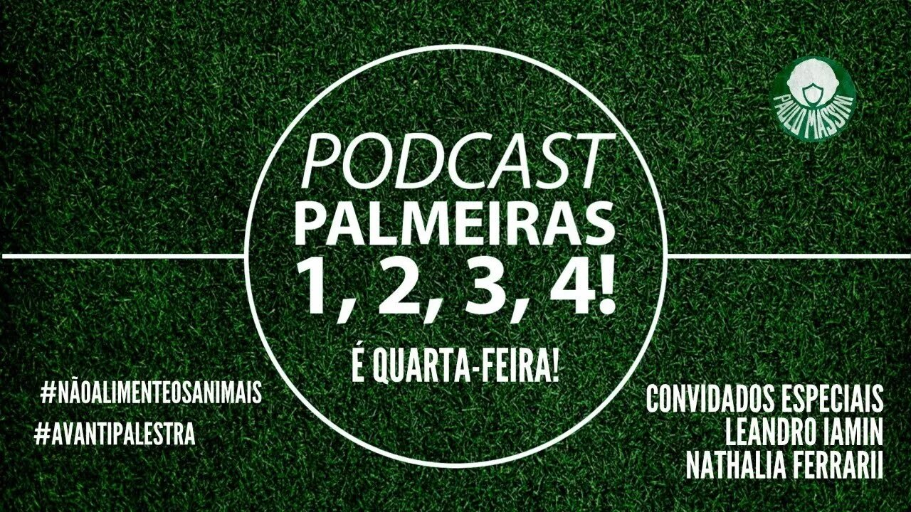 GESTÃO DE ENERGIA E LIDERANÇA COM DIFERENÇA MAIOR. SEGUE O LÍDER! #palmeiras