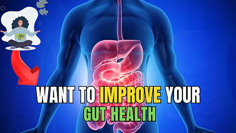 HOW TO IMPROVE GUT HEALTH