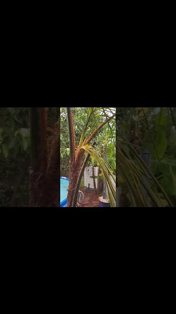 #HURRICANEIAN🌀#MORNINGAFTER #FLOODING #HIGHWINDS #HURRICANE #FLORIDA #SUBSCRIBE #SHORTS