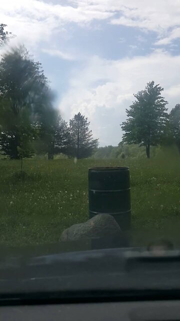 Dancing in the rain with my dog Miller