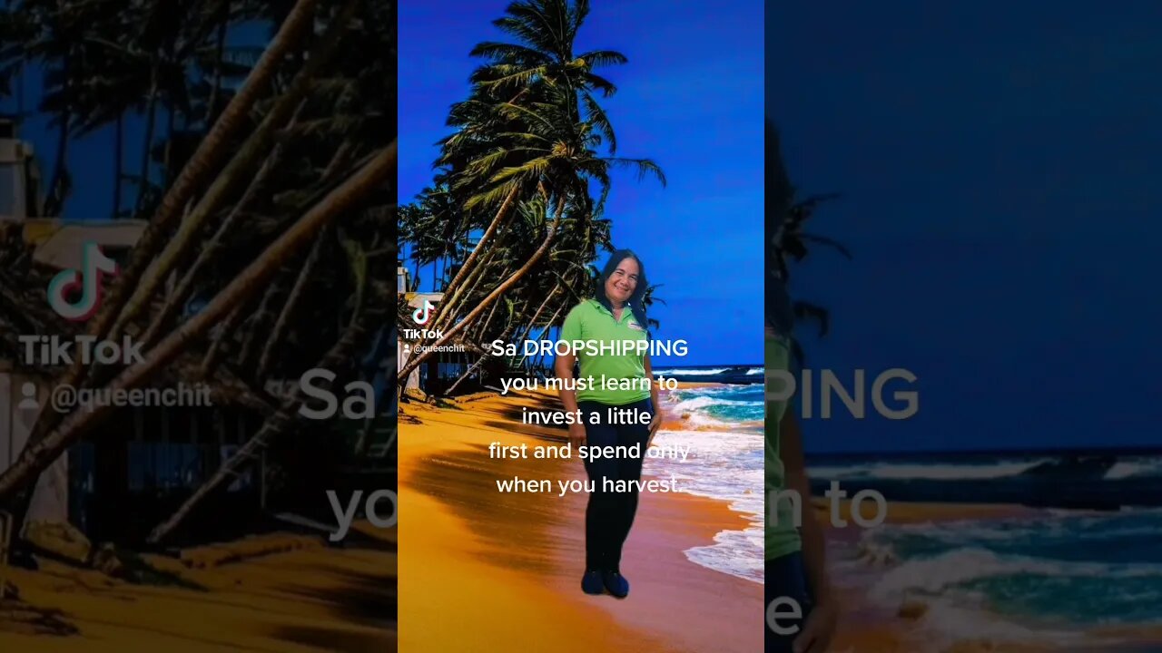 Dropshipping earning