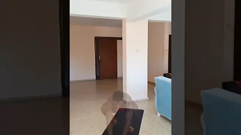 Dumbbell Beginners Leg Workout At Home