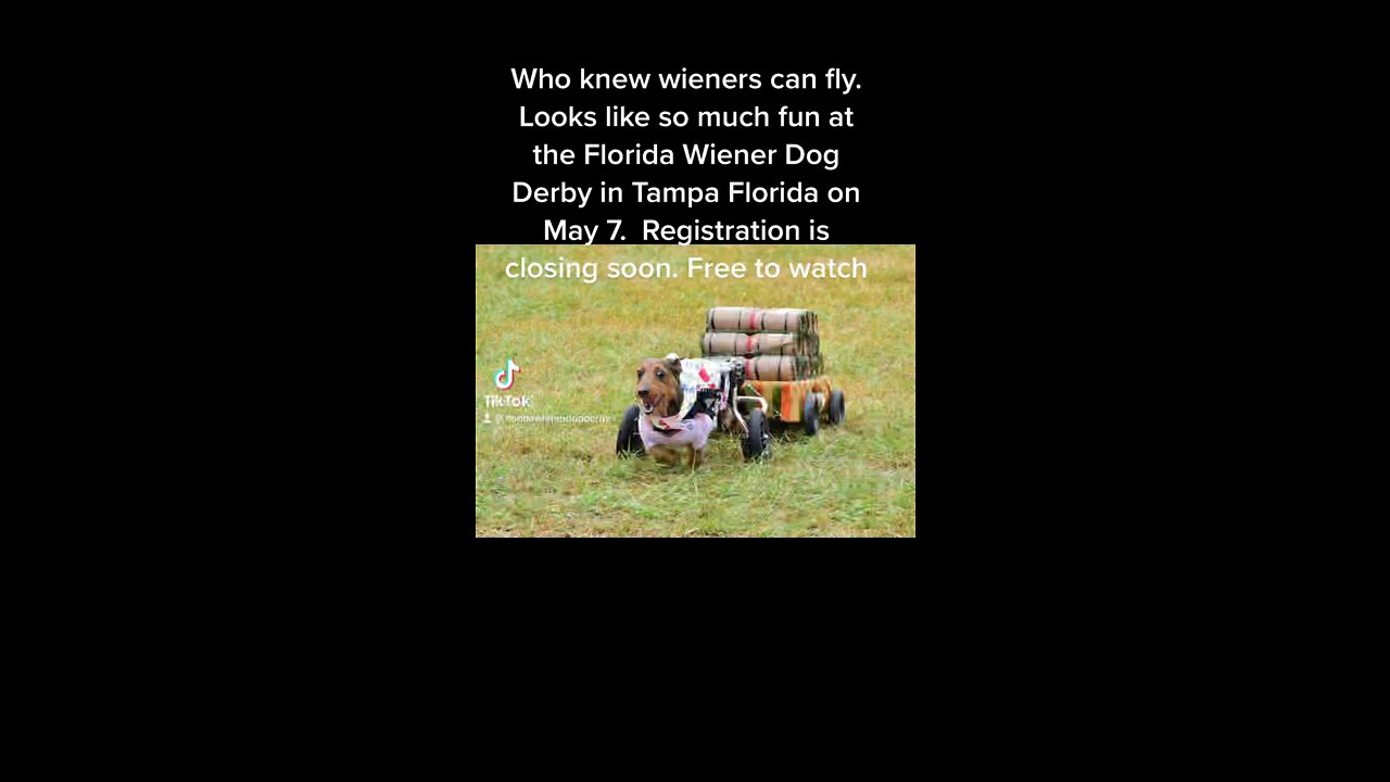 Wieners can fly?