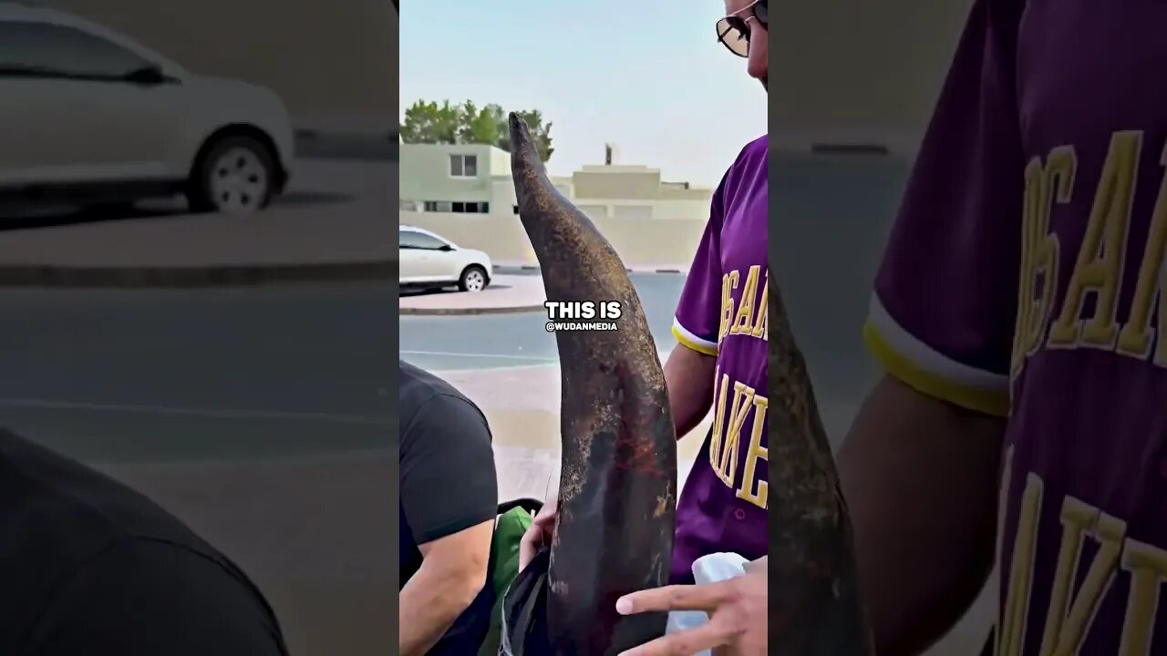 TATE GETS A WEIRD BIRTHDAY GIFT!