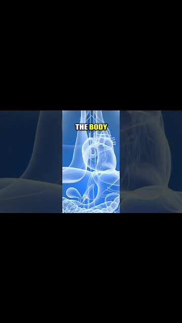 WHAT FOOD EFFECT CARBOHYDRATES LEVEL?🍚🍞🍑 | Dr. Boris Nektalov