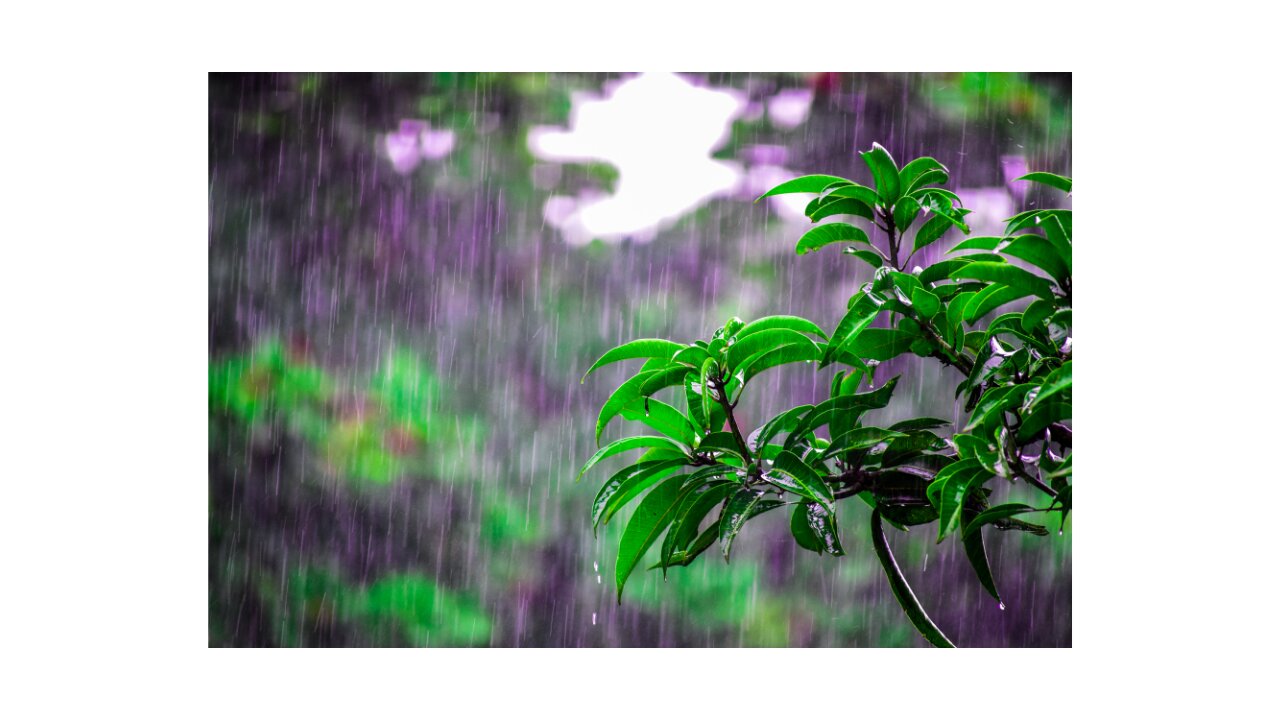 Relaxing rain with a thunder. 1.5 hours
