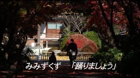 みみずくず 踊りましょうwith lyrics