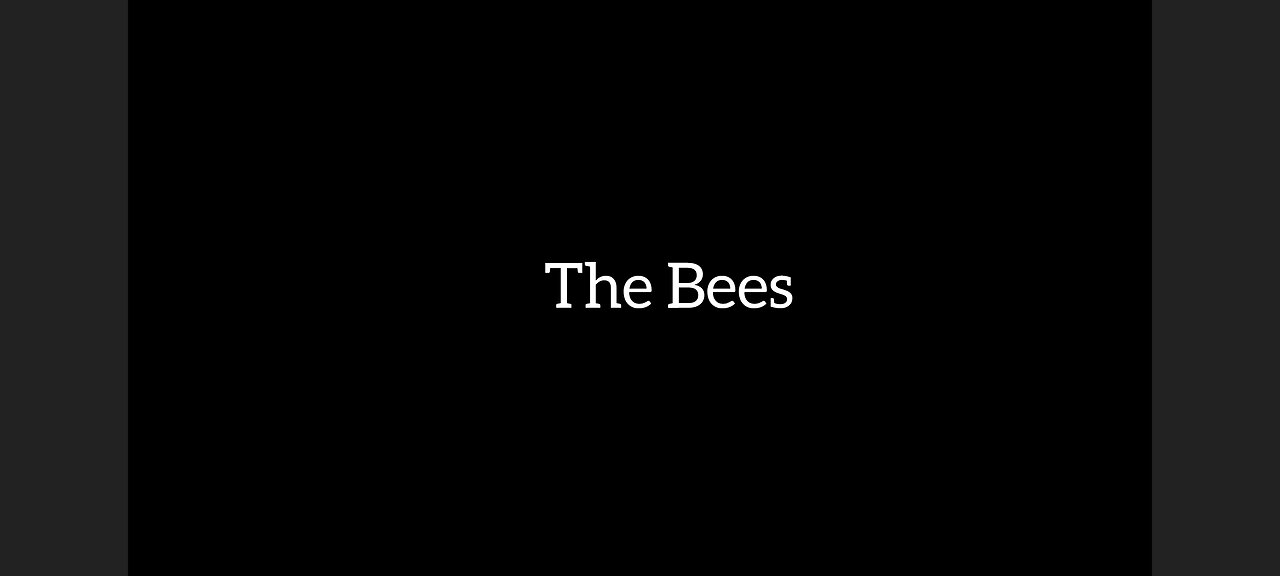 Asmr Story The Bees