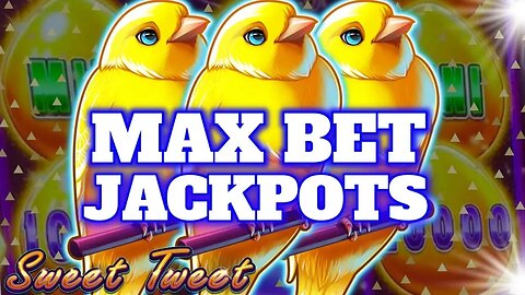 THE MAX BET CHAMPION STRIKES AGAIN! ★ MULTIPLE BIG SWEET TWEET JACKPOTS!