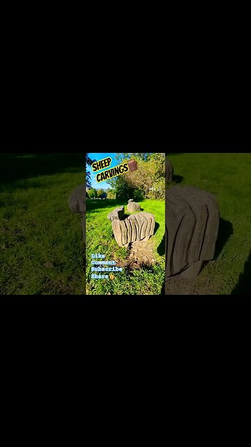Sheep Carvings🪵 #nature #naturelovers #woodcarving #woodsculpture #naturetrail #gloucester #outside