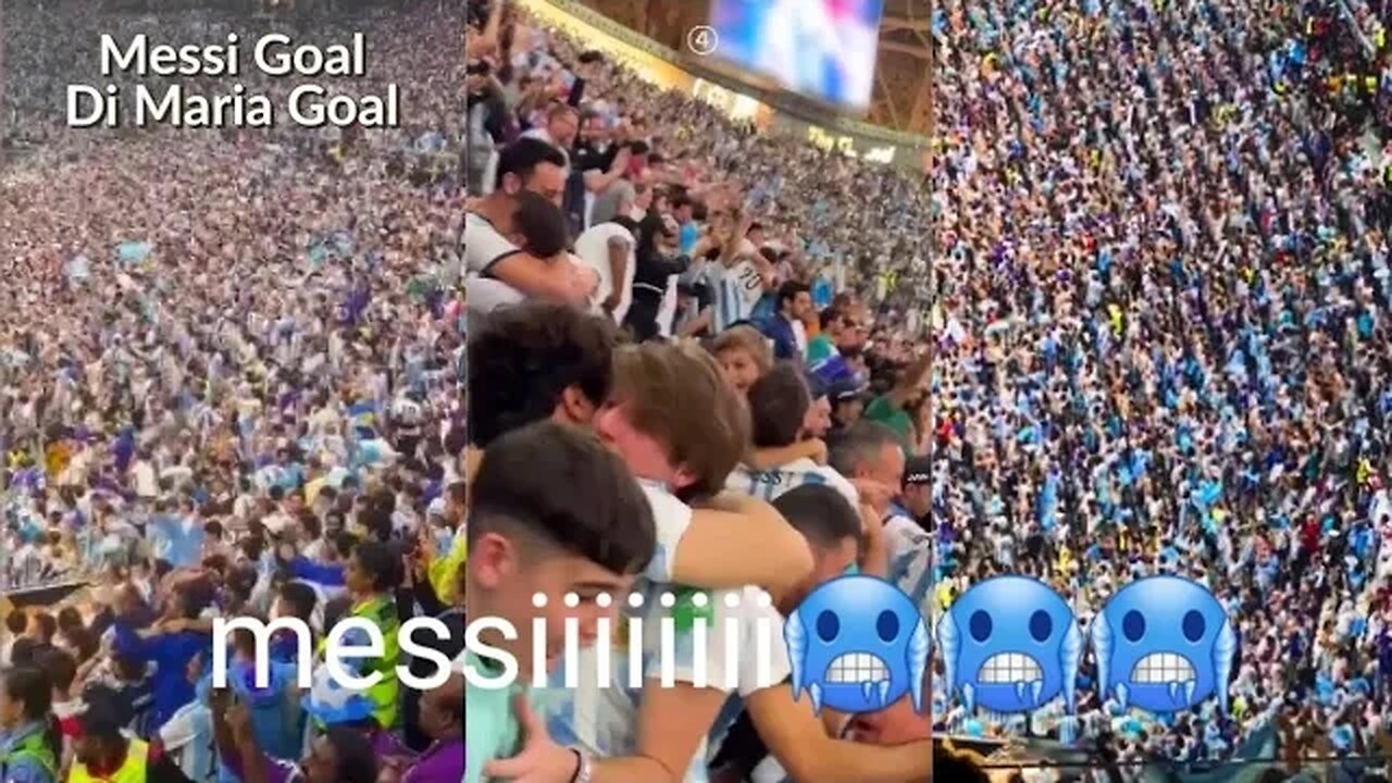 Argentina Fans Crazy Reaction to Goals by Messi & Di Maria in Finals vs France