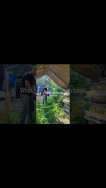 What electric garden tools do you like?#quail #gardentools #kobalttools