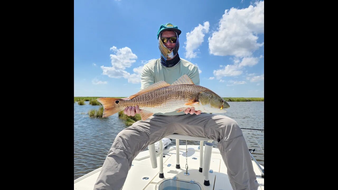 Client Catches first Redfish ever on a Fly Rod! Fly Fishing in Myrtle Grove, Louisiana.