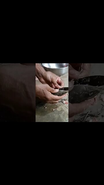 fish Cutting skills #shorts #nonvej