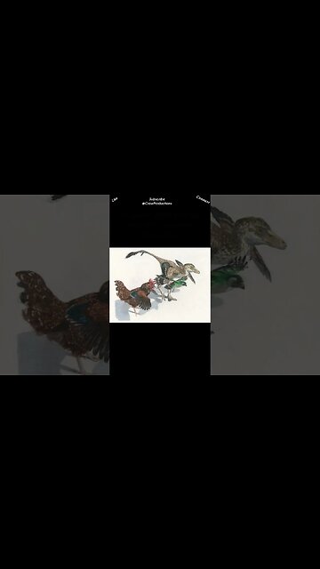 Birds evolved from dinosaurs #birds #shorts